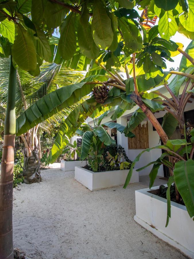 Tropical Oasis Boutique Hotel Michamvi Exterior foto